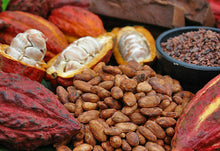 Cargar imagen en el visor de la galería, Cacao M