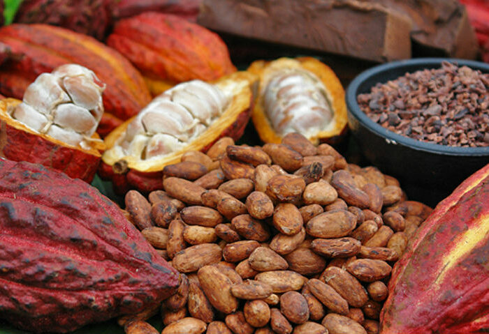 Cacao S