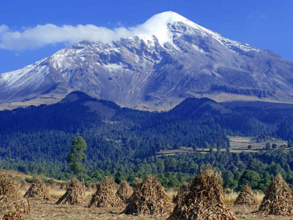 Pico de Orizaba S