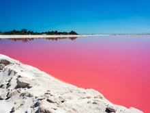 Cargar imagen en el visor de la galería, Las Coloradas M
